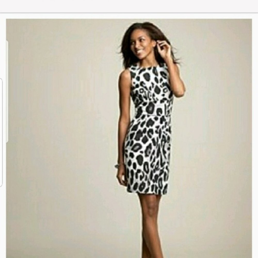 Ann Taylor Snow Leopard Print Sheath Size 4
